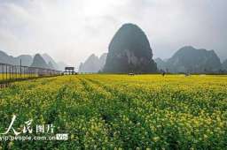 靖西人家舌尖上的非遗体验之旅