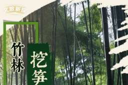 文旅新探｜竹林挖笋记