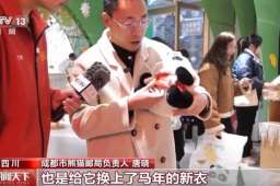 熊猫玩偶也换上马年新衣这个春节消费市场“新”意十足