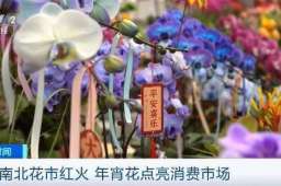南北花市红火年宵花点亮消费市场