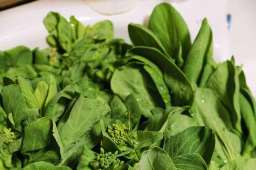 【吃春天】感谢中国好邻居，大年还没过完，头一口春鲜已经吃上了