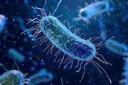 一味中成药温补脾肾固涩止泻，改善久泻畏寒乏力困扰