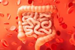 专攻腹泻方子，温补脾肾收敛固涩，慢性腹泻、溃结适用