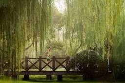 一粥一饭一寝一卧，皆为修行