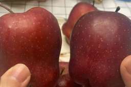 宝子别瞎吃苹果！避开这俩时间点，营养吸收翻倍不遭罪