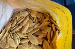 南瓜子真能护血管？医生直言：护心脑，这6种食物尽量少碰